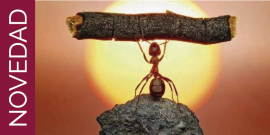 Mini-Tutoriales para ganar Fuerza!!!